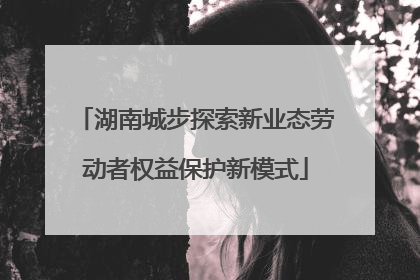 湖南城步探索新业态劳动者权益保护新模式