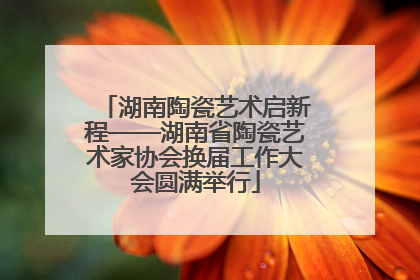 湖南陶瓷艺术启新程——湖南省陶瓷艺术家协会换届工作大会圆满举行
