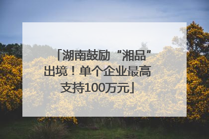湖南鼓励“湘品”出境！单个企业最高支持100万元