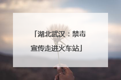 湖北武汉：禁毒宣传走进火车站