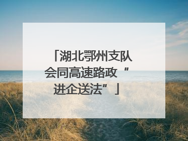 湖北鄂州支队会同高速路政“进企送法”