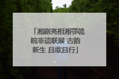 湘剧亮相湘鄂赣皖非遗联展 古韵新生 且歌且行