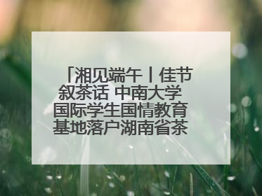 湘见端午丨佳节叙茶话 中南大学国际学生国情教育基地落户湖南省茶叶博物馆