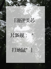 漫评美芯片新规：“打地鼠”