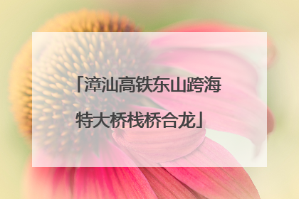 漳汕高铁东山跨海特大桥栈桥合龙