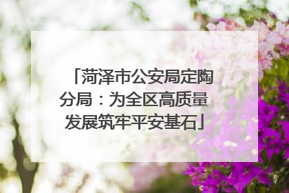 菏泽市公安局定陶分局：为全区高质量发展筑牢平安基石