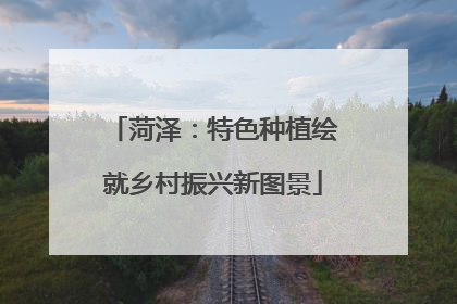 菏泽：特色种植绘就乡村振兴新图景