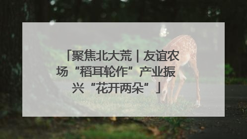 聚焦北大荒｜友谊农场“稻耳轮作”产业振兴“花开两朵”