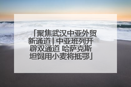 聚焦武汉中亚外贸新通道│中亚班列开辟双通道 哈萨克斯坦饲用小麦将抵鄂