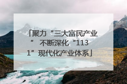 聚力“三大富民产业” 不断深化“1131”现代化产业体系