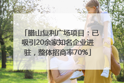 腊山复利广场项目：已吸引20余家知名企业进驻，整体招商率70%