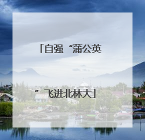 自强“蒲公英”飞进北林大