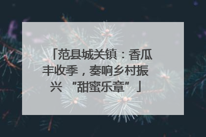 范县城关镇：香瓜丰收季，奏响乡村振兴 “甜蜜乐章”