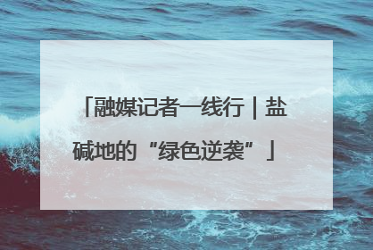 融媒记者一线行｜盐碱地的“绿色逆袭”