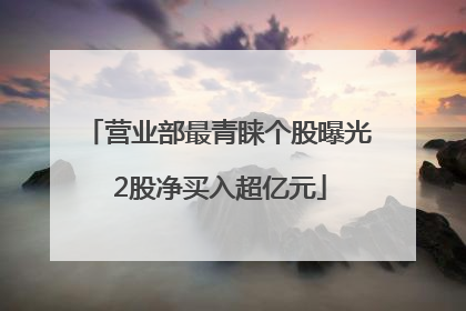 营业部最青睐个股曝光 2股净买入超亿元