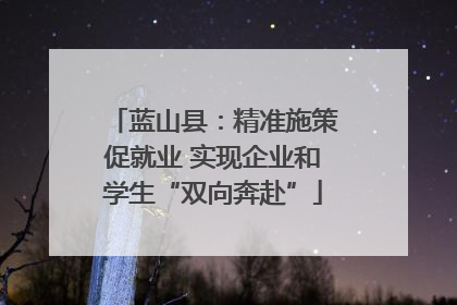 蓝山县：精准施策促就业 实现企业和学生“双向奔赴”