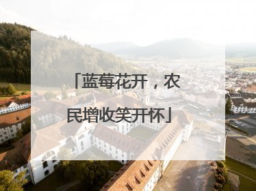 蓝莓花开，农民增收笑开怀
