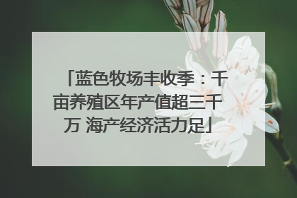 蓝色牧场丰收季：千亩养殖区年产值超三千万 海产经济活力足