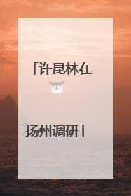 许昆林在扬州调研