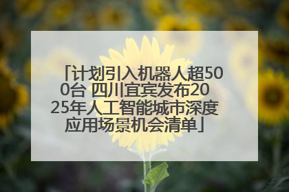 计划引入机器人超500台 四川宜宾发布2025年人工智能城市深度应用场景机会清单