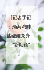 记者手记：渤海湾畔盐碱滩变身“新粮仓”