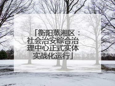 衡阳蒸湘区：社会治安综合治理中心正式实体实战化运行