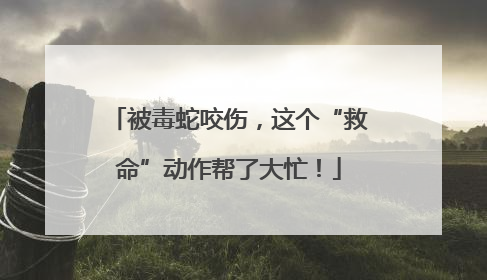 被毒蛇咬伤，这个“救命”动作帮了大忙！