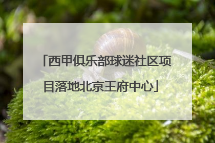 西甲俱乐部球迷社区项目落地北京王府中心