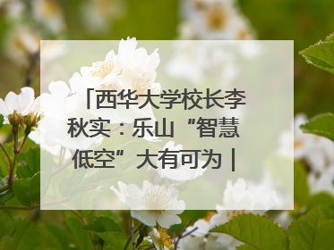 西华大学校长李秋实：乐山“智慧低空”大有可为｜西望四川