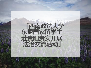 西南政法大学东盟国家留学生赴贵阳贵安开展法治交流活动