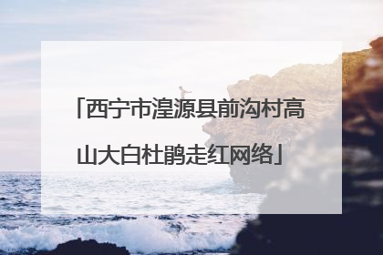 西宁市湟源县前沟村高山大白杜鹃走红网络