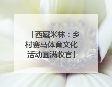 西藏米林：乡村赛马体育文化活动圆满收官