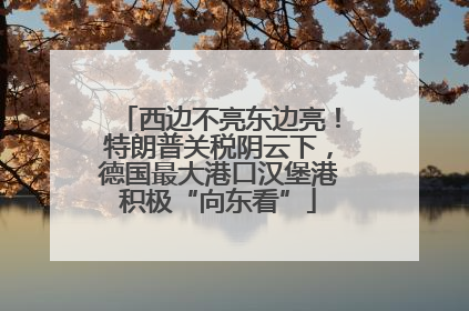 西边不亮东边亮！特朗普关税阴云下，德国最大港口汉堡港积极“向东看”