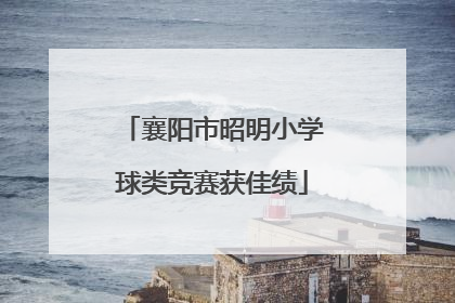 襄阳市昭明小学球类竞赛获佳绩