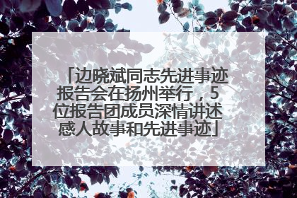 边晓斌同志先进事迹报告会在扬州举行，5位报告团成员深情讲述感人故事和先进事迹