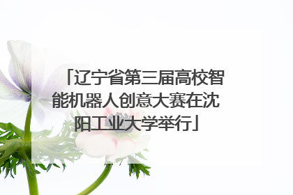 辽宁省第三届高校智能机器人创意大赛在沈阳工业大学举行