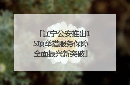 辽宁公安推出15项举措服务保障全面振兴新突破