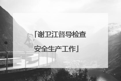 谢卫江督导检查安全生产工作