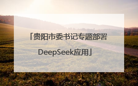 贵阳市委书记专题部署DeepSeek应用