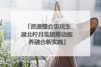 资源整合惠民生 湖北柠月集团推动医养融合新实践