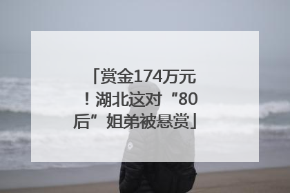 赏金174万元！湖北这对“80后”姐弟被悬赏