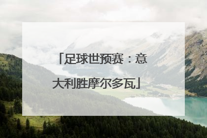 足球世预赛：意大利胜摩尔多瓦