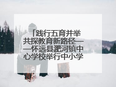 践行五育并举 共探教育新路径——怀远县淝河镇中心学校举行中小学、幼儿园班主任论坛活动