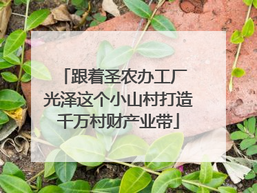 跟着圣农办工厂 光泽这个小山村打造千万村财产业带
