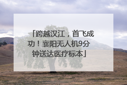 跨越汉江，首飞成功！襄阳无人机9分钟送达医疗标本