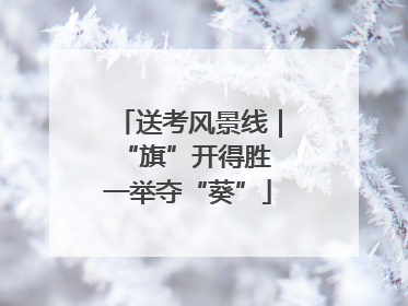送考风景线｜“旗”开得胜 一举夺“葵”