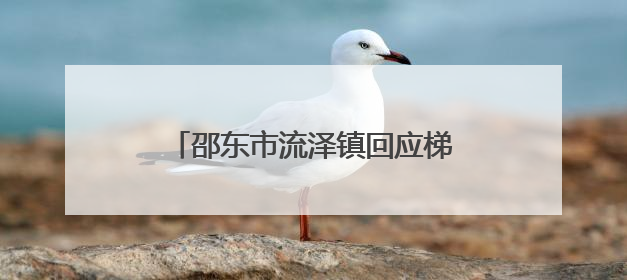 邵东市流泽镇回应梯土毁坏质疑：上级未明确答复而未开工