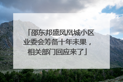 邵东邦盛凤凰城小区业委会筹备十年未果，相关部门回应来了