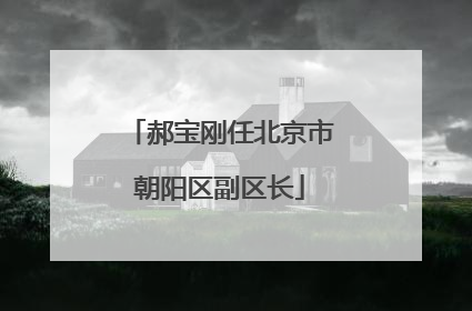 郝宝刚任北京市朝阳区副区长