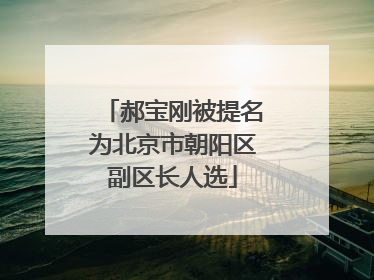 郝宝刚被提名为北京市朝阳区副区长人选